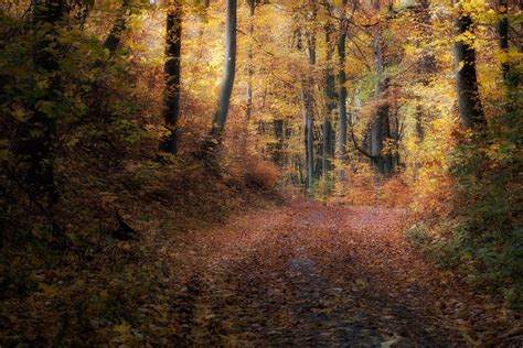 Autumn Paradise By Citizenfresh On Deviantart