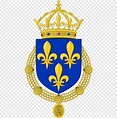 프랑스 왕국 국장 Valois의 집 프랑스, 프랑스의 국장, 프랑스, 꽃, 찰스 1 세 프랑스 png | PNGWing