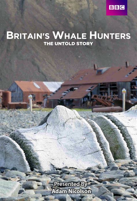 Britains Whale Hunters The Untold Story