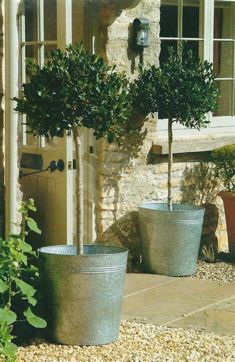 Pin By Annie Guillo On Kerb ♡ Appeal Galvanized Planters Planters