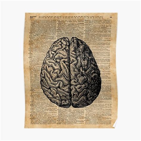 Vintage Human Anatomy Brain Illustration Dictionary Book Page Art