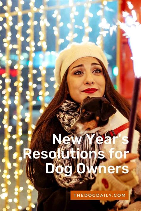 Top 6 New Years Resolutions For Dog Owners The Dog Daily
