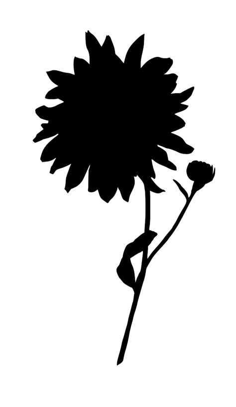 Svg Sun Flower Flower Plant Free Svg Image And Icon Svg Silh