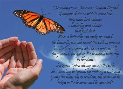 15 Inspirational Quotes With Butterflies