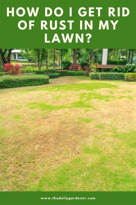 How Do I Get Rid Of Rust In My Lawn