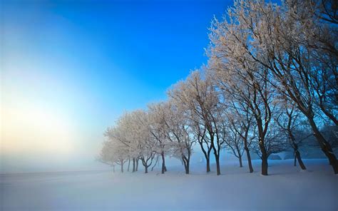 Winter Nature Snow Beautiful Lovely Landscape
