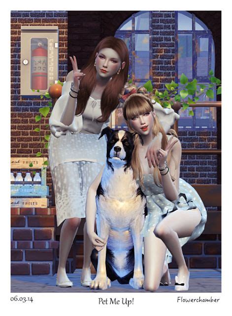 Sims 4 Ccs The Best Pet Me Up Poses Sets By Flowerchamber Sims 4