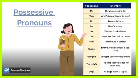 What Is A Singular Possessive Noun And How To Use Them