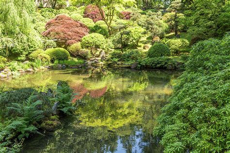 Portland Japanese Garden Photograph By Willie Harper Fine Art America