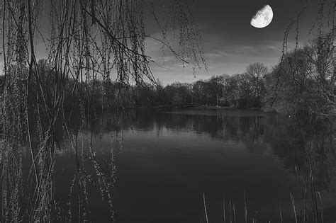 Moon Lake Trees Water Sky Landscape Nature Mood Clouds Night