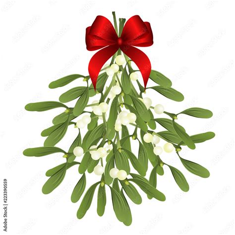 Mistletoe Vector Illustration Of Hanging Mistletoe Sprigs With Red Bow