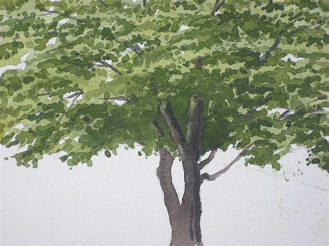 Unsere geschätzten lieferzeiten sind wie folgt: Einen Baum malen mit Aquarellfarben - John Fisher Wie-malt ...