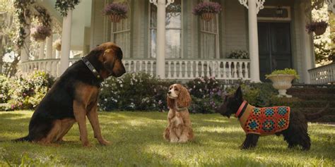 Lady And The Tramp Theatrical Trailer 2019