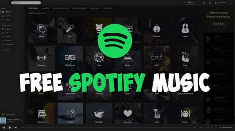 Losslessly download spotify songs, albums & playlists. How to Download Music from Spotify without Premium ...