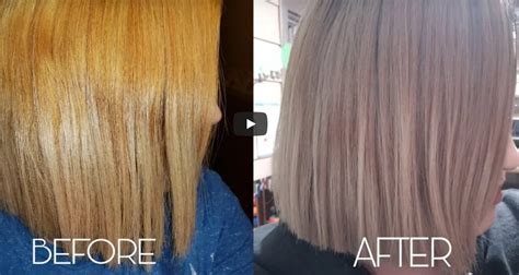 Wella T Lightest Ash Blonde Before And After Americanwarmoms Org