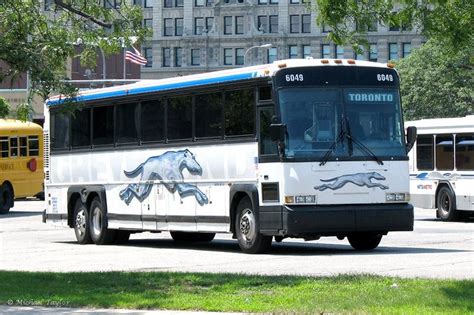 Greyhound Bus Greyhound Bus Coach