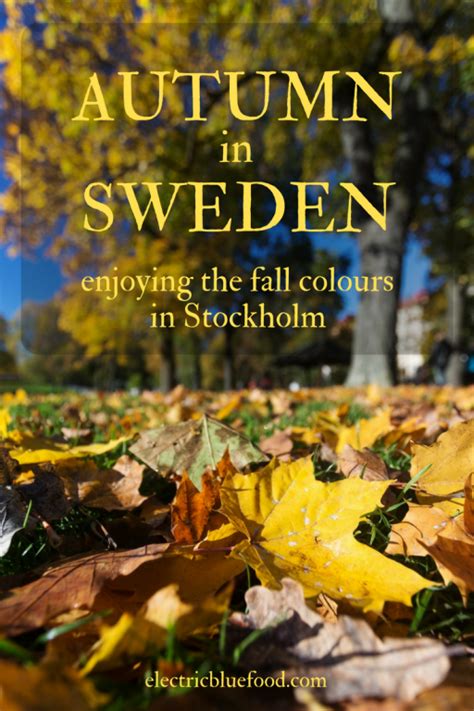 Autumn In Sweden The Indian Summer In Stockholm Electric Blue Food