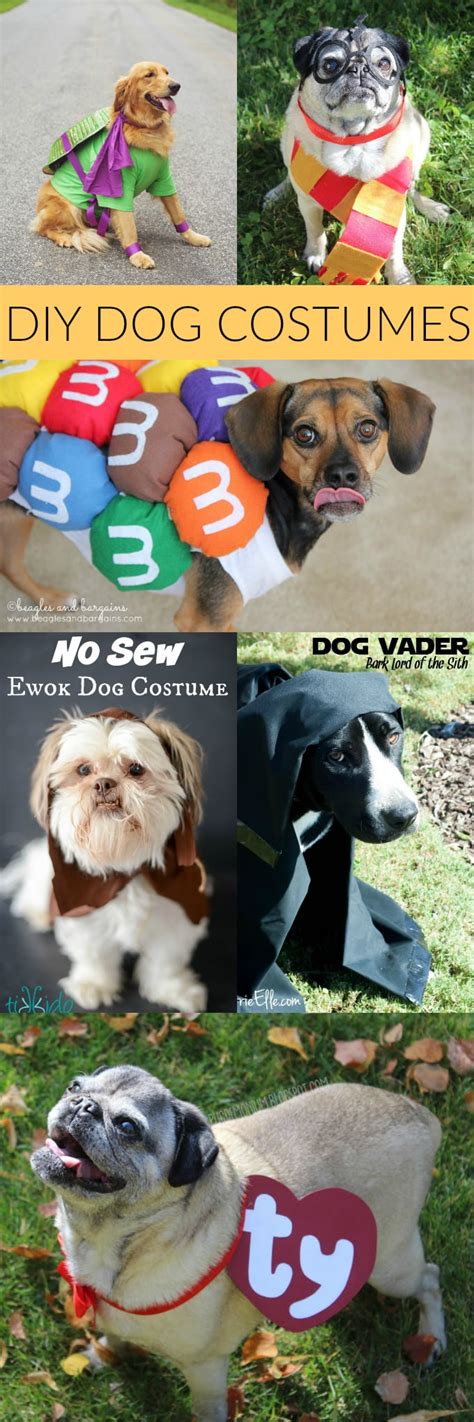 Diy Dog Costumes Carrie Elle