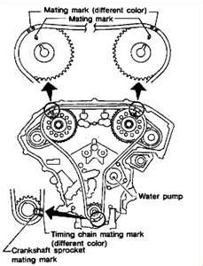 Hope this helps and good luck. DIAGRAM FOR 2003 NISSAN MAXIMA GLE TIMING CHAIN - Fixya