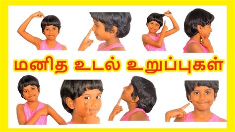ஐந்து சின்ன விரல்கள் (parts of the body actions song) | tamil rhymes for children by chuchu tv. Body Parts Tamil : Encyclopedia Human Body In Tamil Pebbles : A crossword to practise body parts ...