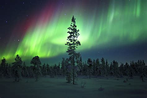 Huge Aurora Borealis Displays Expected