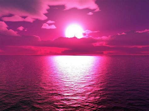 Purple Sunset Sunset Painting Pink Sunset Daftsex Hd