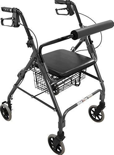 Buy Probasics Aluminum Rollator With 6 Inch Wheels Padded Seat And