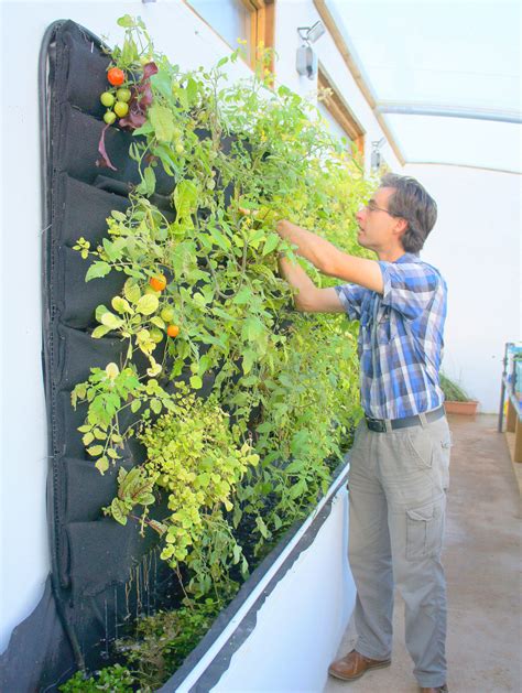Aquaponic Vertical Vegetable Garden — Florafelt Vertical