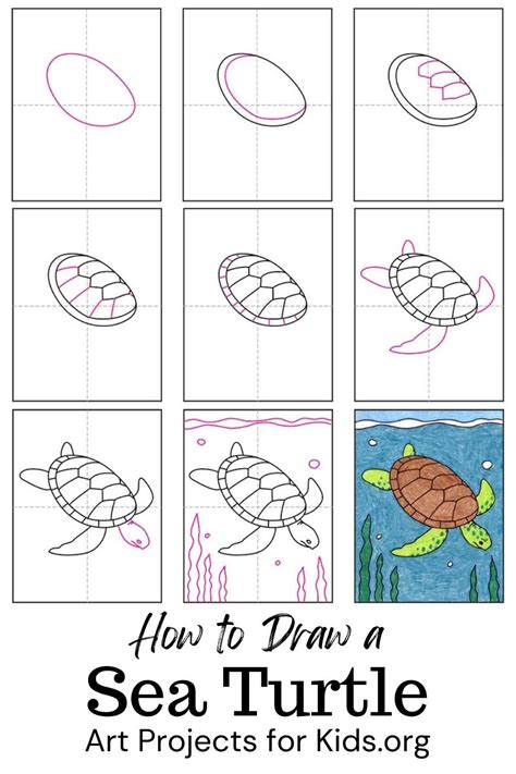 Learn How To Draw A Sea Turtle With An Easy Step By Step Pdf Tutorial