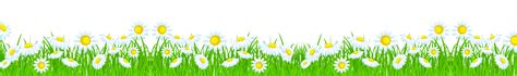 Grass With Daisies Png Clipart Picture Gallery Yopriceville High