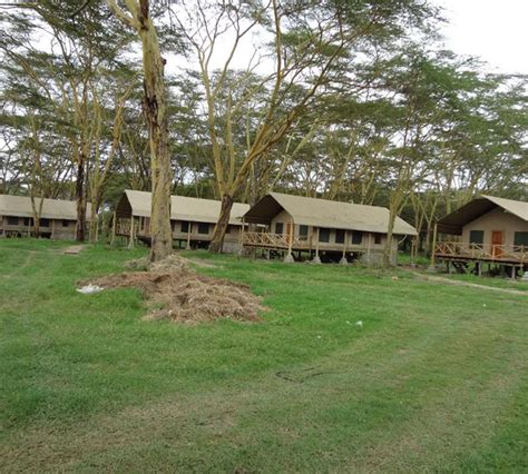 Kiboko Luxury Camp ⭐⭐⭐⭐⭐ Baraka Safari Kenya