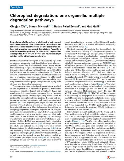 Chloroplast Degradation One Organelle Multiple Degradation Pathways Docslib