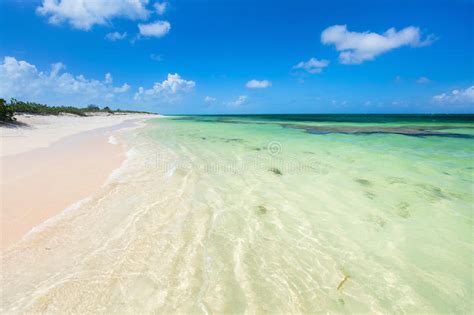 Idyllic Beach At Caribbean Stock Photo Image Of Island 85517136