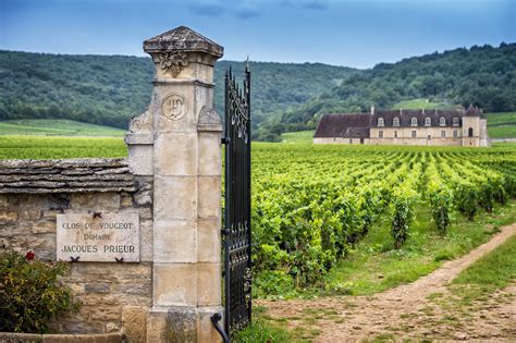 Wines of Burgundy | Fully customized itineraries to Europe, Central and South America. Your tour 