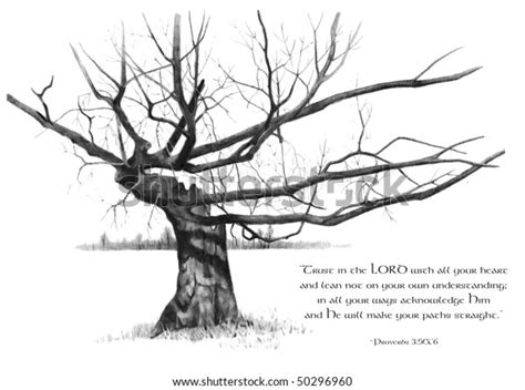 Скачать книгу «colored pencil artist's drawing bible: Pencil Drawing Old Tree Bible Verse Stock Illustration ...