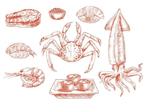 Premium Vector Raw Seafood Cuisine Crab And Squid