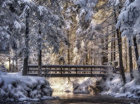 Photography Landscape Nature Winter Bridge River Snow Sunlight Cold