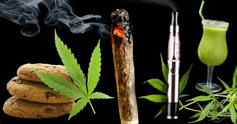 Las Diferentes Formas De Consumir Cannabis Weedseedshop
