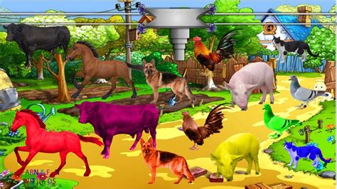 Teach Best Farm Animals For Children Learn Colors With Farm Animals