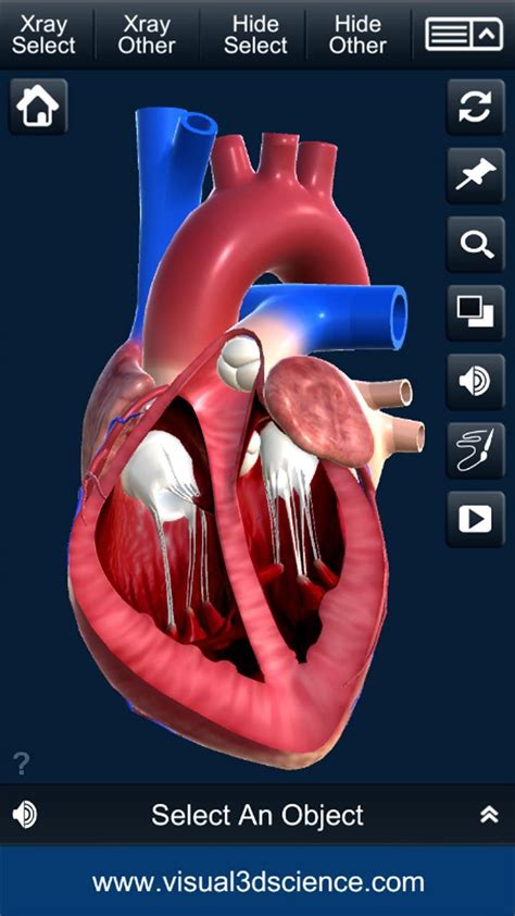 My Heart Anatomy For Android Apk Download