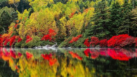 High Resolution Fall Pictures With Colorful Nature Trees Autumn Season