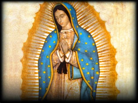 Holy Mass Images Our Lady Of Guadalupe