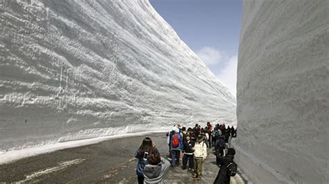 Japans Alpine Sightseeing Route Featuring 17 Meter Snow Walls Opens
