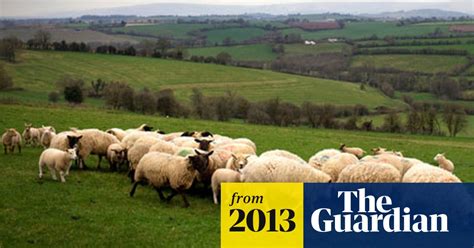 Rural Land Prices Hit New High Commercial Property The Guardian