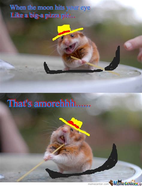 40 Very Funny Hamster Meme Images And Pictures