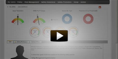 Web Database For Aviation Safety Management System For Airports