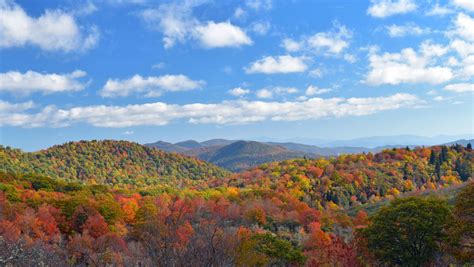 Ashevilles 2017 Fall Foliage Report And New Fall Highlights