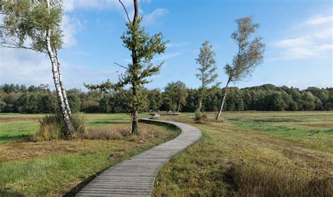 Prachtig Gelegen Recreatiepark In Epe Op De Natuurrijke Veluwe