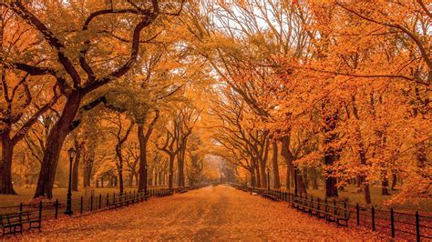 This Fall Foliage Report Predicts Prime Times For Leaf Peeping In New York
