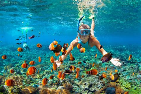 Great Barrier Reef Snorkelling